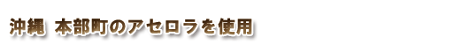 沖縄 本部町のアセロラを使用