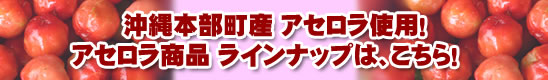 アセロラフーズ　アセロラ商品ラインナップはこちら！